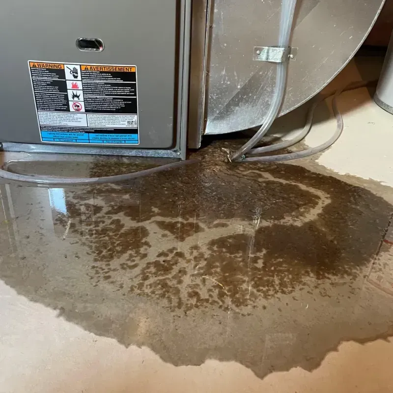 Appliance Leak Cleanup in Montauk, NY